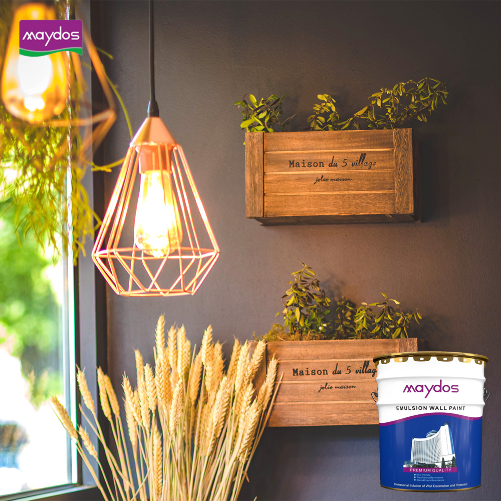 Multicolor Inside Wall Paint for Dwelling Décor – Acrylic Wall Paint